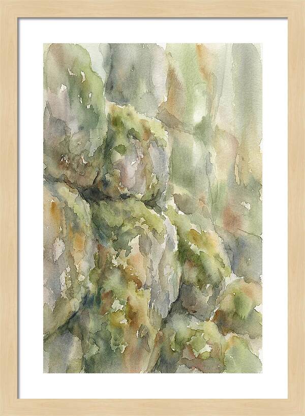 Moss Covered Stones