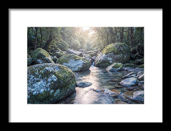 Moss Covered Tropical Boulders