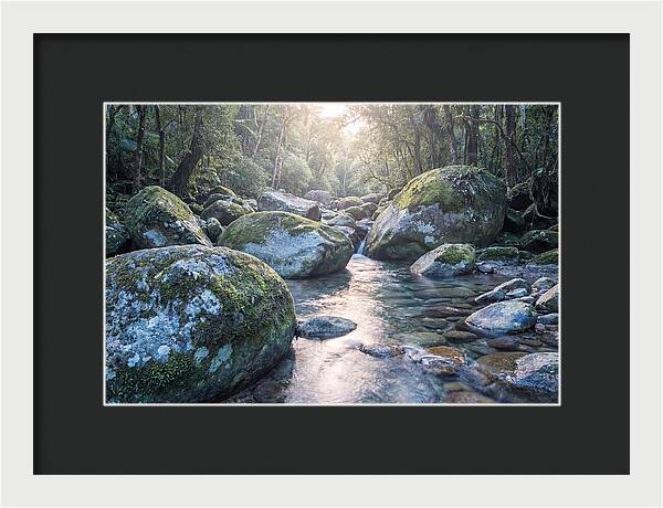 Moss Covered Tropical Boulders