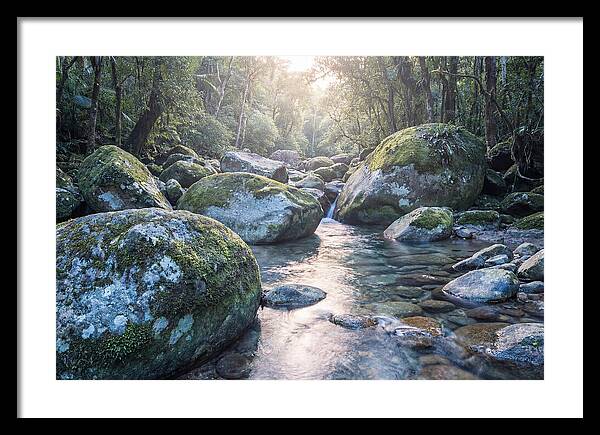 Moss Covered Tropical Boulders