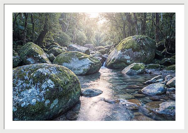 Moss Covered Tropical Boulders