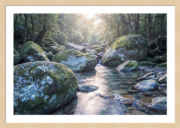 Moss Covered Tropical Boulders