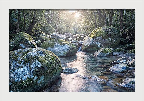 Moss Covered Tropical Boulders