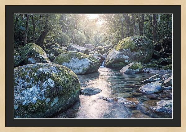 Moss Covered Tropical Boulders