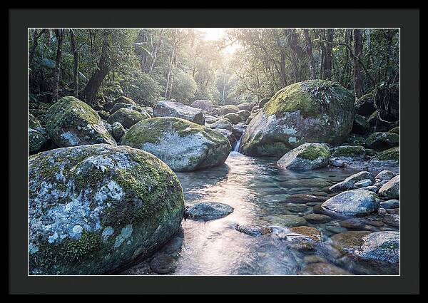 Moss Covered Tropical Boulders