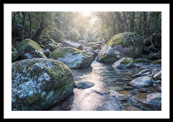Moss Covered Tropical Boulders
