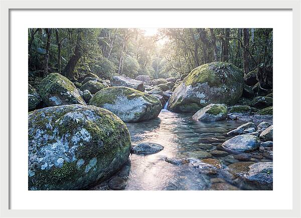 Moss Covered Tropical Boulders