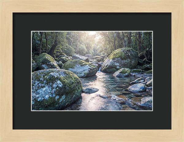 Moss Covered Tropical Boulders