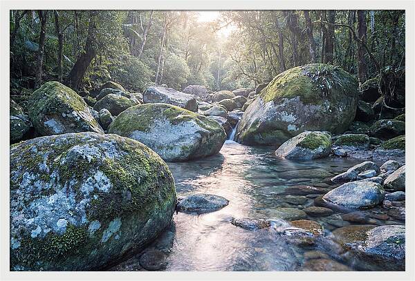 Moss Covered Tropical Boulders