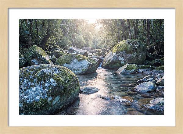 Moss Covered Tropical Boulders