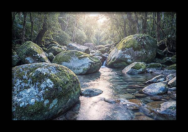 Moss Covered Tropical Boulders