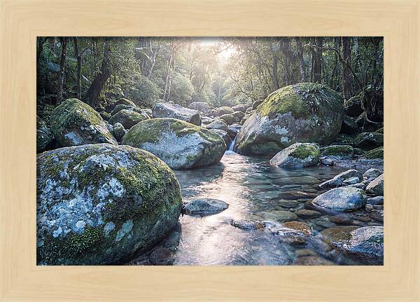 Moss Covered Tropical Boulders