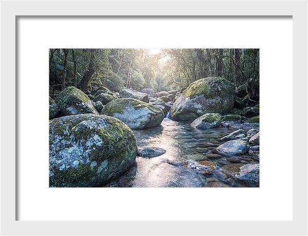 Moss Covered Tropical Boulders