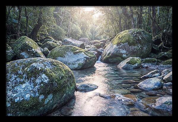 Moss Covered Tropical Boulders