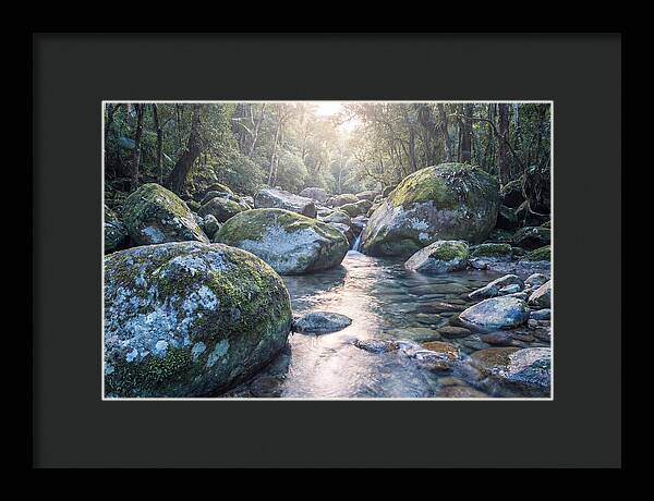 Moss Covered Tropical Boulders