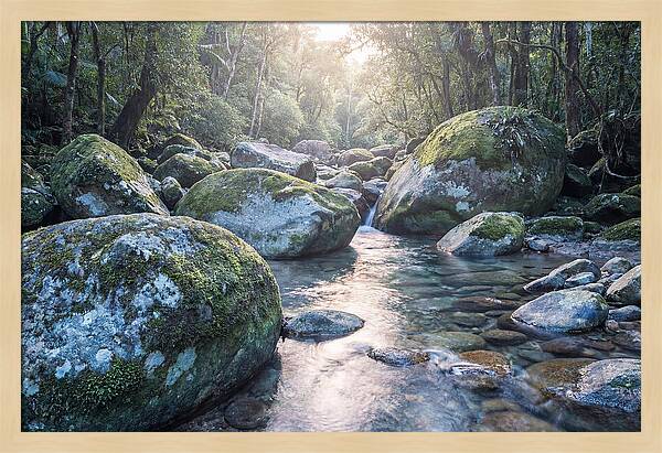 Moss Covered Tropical Boulders