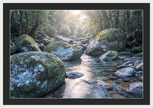 Moss Covered Tropical Boulders