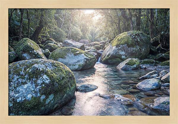 Moss Covered Tropical Boulders