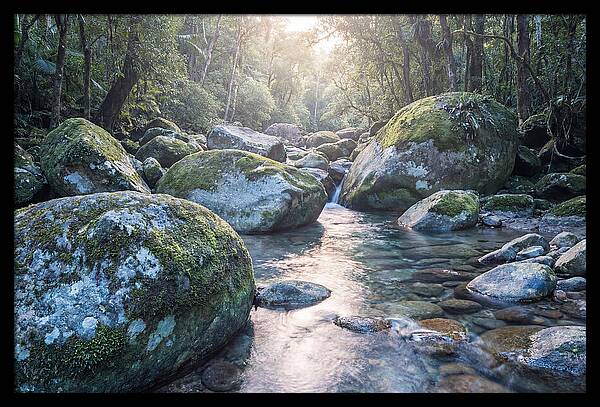 Moss Covered Tropical Boulders