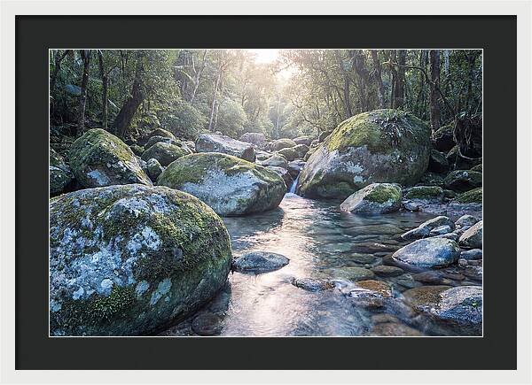 Moss Covered Tropical Boulders