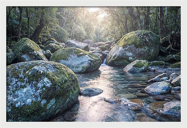 Moss Covered Tropical Boulders