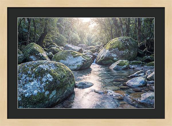 Moss Covered Tropical Boulders