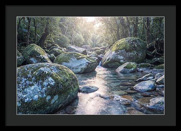 Moss Covered Tropical Boulders