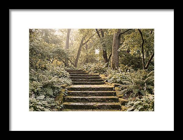 Moss Lined Stone Steps Through Shade
