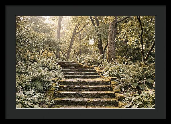 Moss Lined Stone Steps Through Shade