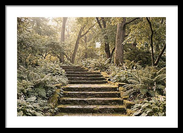 Moss Lined Stone Steps Through Shade