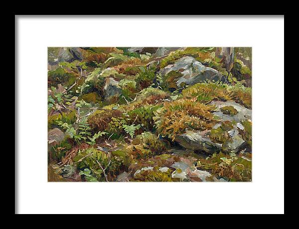 Mossy Forest Floor