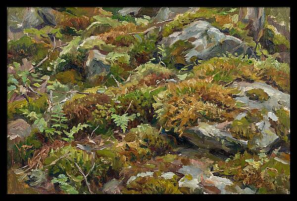Mossy Forest Floor