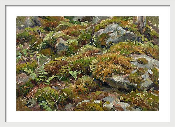 Mossy Forest Floor