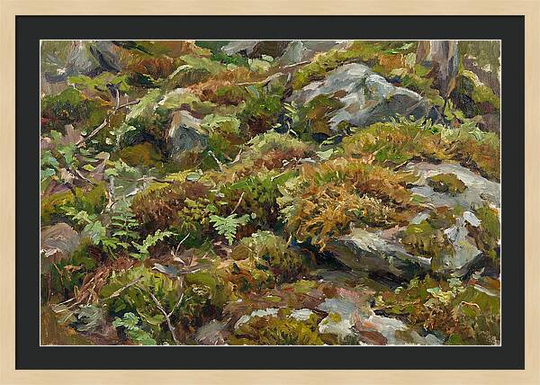 Mossy Forest Floor