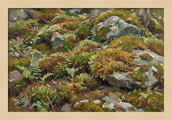 Mossy Forest Floor
