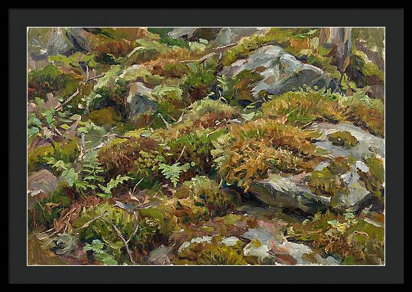 Mossy Forest Floor