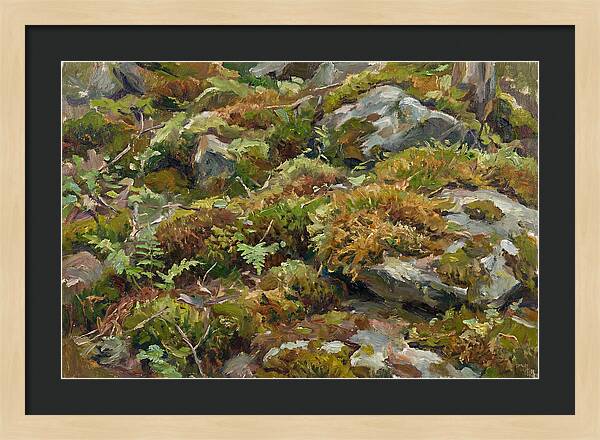 Mossy Forest Floor
