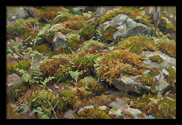 Mossy Forest Floor