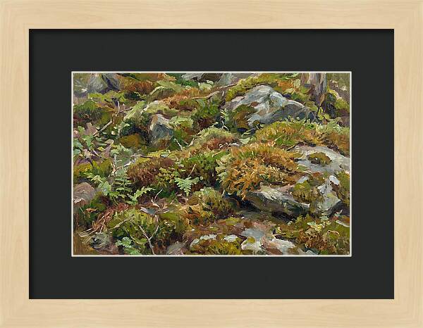 Mossy Forest Floor
