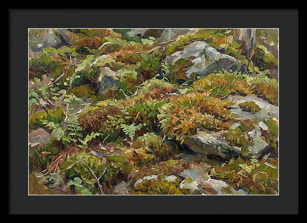 Mossy Forest Floor