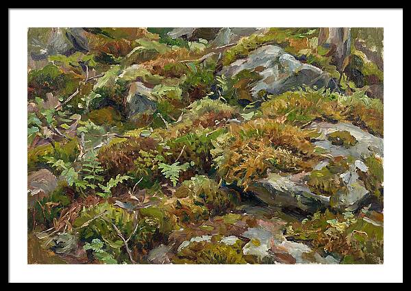 Mossy Forest Floor