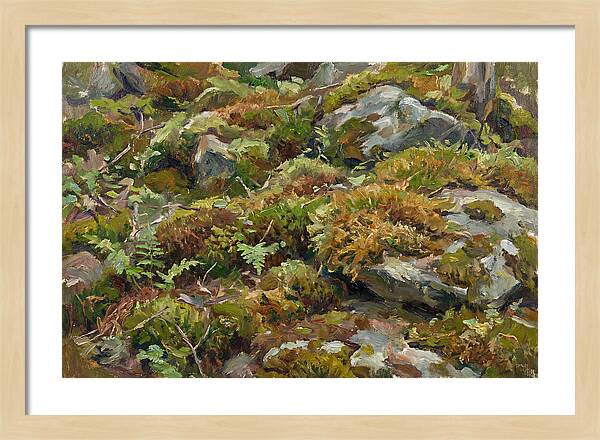 Mossy Forest Floor