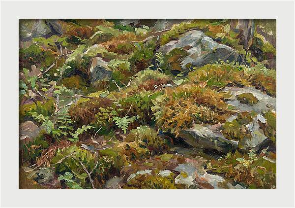 Mossy Forest Floor