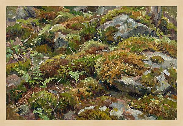 Mossy Forest Floor