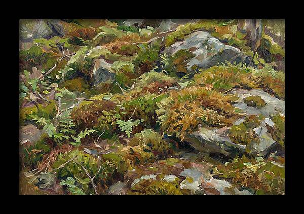 Mossy Forest Floor