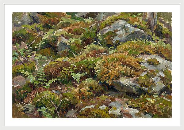 Mossy Forest Floor