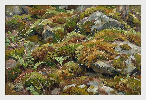 Mossy Forest Floor