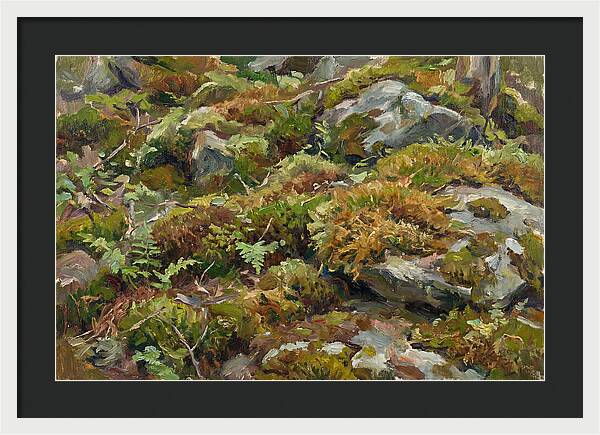 Mossy Forest Floor