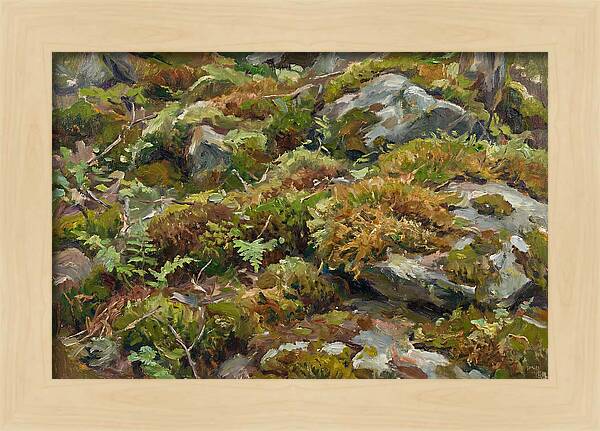 Mossy Forest Floor