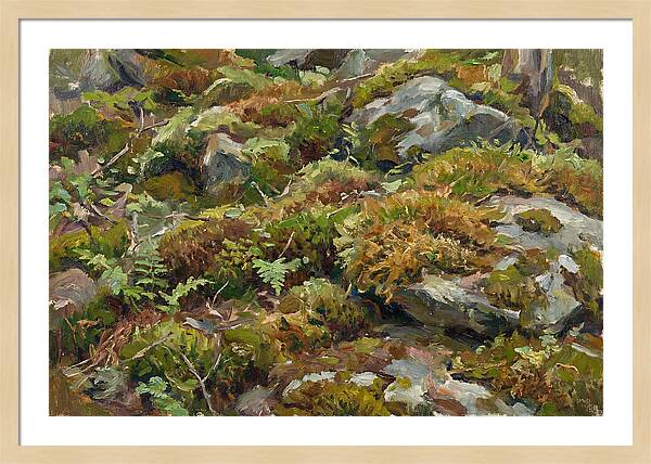 Mossy Forest Floor